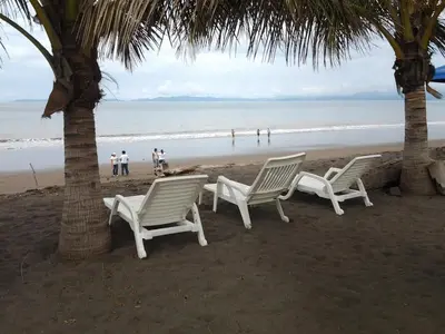three chairs and palm trees on a beach at Hotel Mar y Mar in Puntarenas