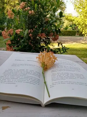 an open book with a flower on top of it at Cabinas MaWa Tropical 5 minutos a playa in Uvita