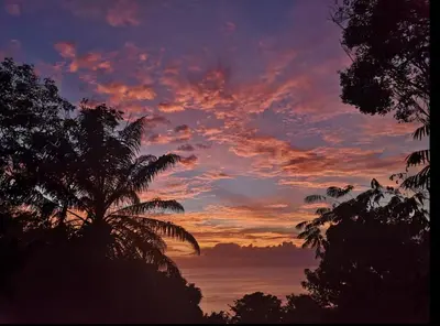 a sunset with a palm tree in the foreground at Mi Zaru Sea View Hotel Free Park Tour & Breakfast in Manuel Antonio
