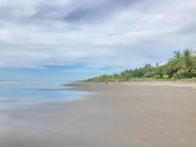 an empty beach with palm trees and the ocean at Awarded No Footprint House on Matapalo Beach in Savegre
