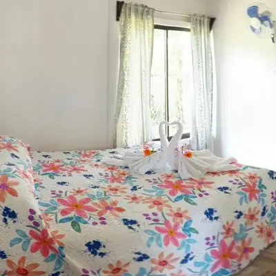 Ibis House