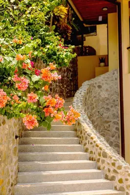 a stairway with flowers on the side of a building at Palacio Tropical- Secluded & Private Beach in Puntarenas