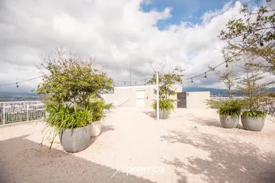 a row of potted plants sitting on top of a building at Dreamliner at 11s, City Views and Wonderland Vibes! in Hatillo