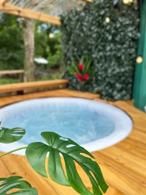 a pool of water on a wooden table with a plant at Cabaña Vacal Wifi, beach front #2 in Uvita
