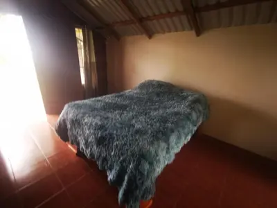 Gallery image of Cabaña Mono Cariblanco in Aguas Zarcas