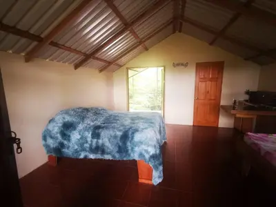 Gallery image of Cabaña Mono Cariblanco in Aguas Zarcas