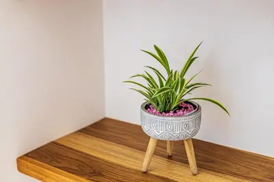 a plant in a metal pot on a wooden stand at Casa Paraiso de Ballenas in Uvita