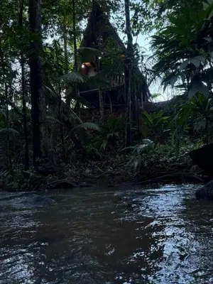 a house in the jungle next to a river at El Nido del Tucan Rio Celeste in El Achiote