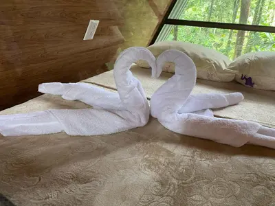 two towels shaped like swans sitting on a bed at El Nido del Tucan Rio Celeste in El Achiote