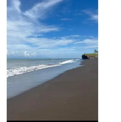 a beach with the ocean and a blue sky at Fruta mango # 1 in Playa Guacalillo