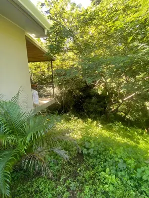 a yard with green plants and a house at Ona Casita 1 in Cuajiniquil