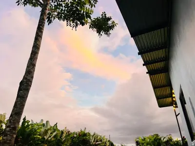a rainbow in the sky with a palm tree at Teyú Green Cottage in Cuatro Esquinas