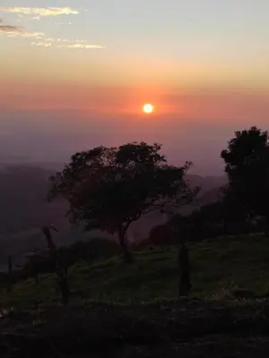 a sunset on a hill with a tree in a field at Habitación Privada Casa Montaña Monteverde Tilarán in Sierra
