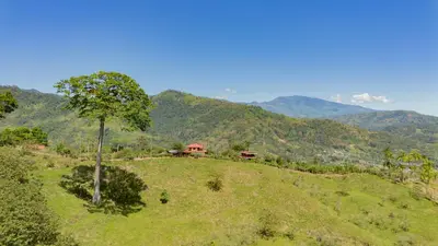 a tree on a hill with mountains in the background at Bongalows Chepe Araya in Pejibaye