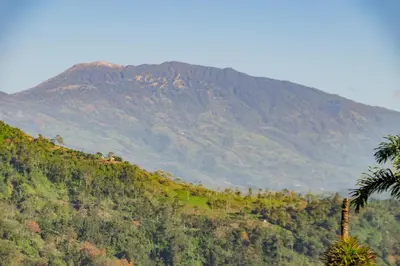 a mountain in the distance with a palm tree at Villa Chepe Araya in Pejibaye