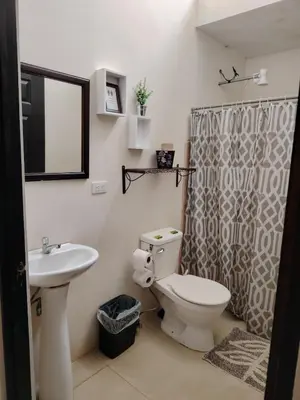 a bathroom with a toilet and a sink at SJO airport eco-Escape, Villa Lapa 5 & Pool in Tivives