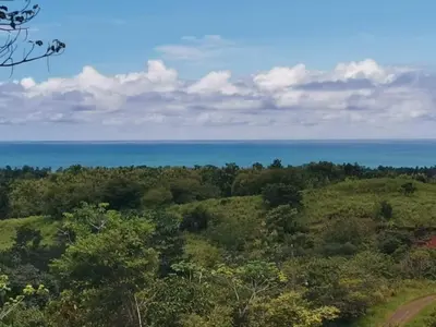 a view of the ocean from a hill with trees at New House w Pool close to beach! in Esterillos Este