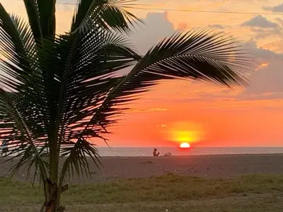 a palm tree on a beach with a sunset at New House w Pool close to beach! in Esterillos Este