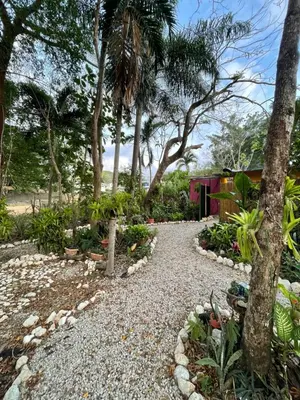 a garden with trees and rocks and a pathway at La Selva in Hojancha