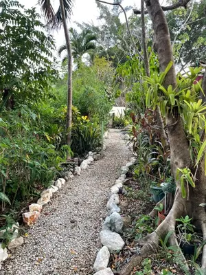 a gravel path in a garden with trees and plants at La Selva in Hojancha