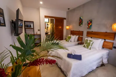 a bedroom with two beds and a plant at Bahia Selvatica Lodge in Uvita