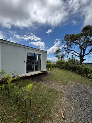 a white building on a field with a tree at El Cedro Lodge in Alajuela City