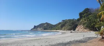 a beach with palm trees and the ocean at Peace at the Beach in Sámara