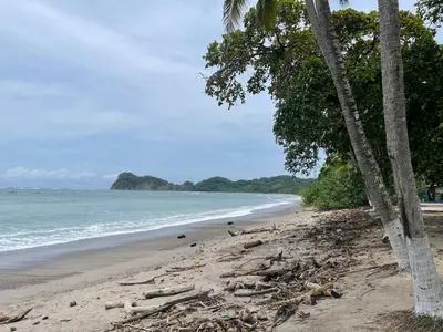 a beach with two palm trees and the ocean at Peace at the Beach in Sámara