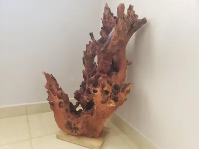 a piece of driftwood sitting on a stand next to a wall at Aqua Heaven in Jabillos