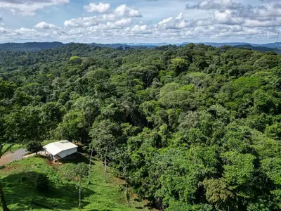 an aerial view of a tent in the middle of a forest at Jungle Bungalow at Oropel Lodge in Puerto Viejo