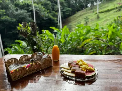 a table with a plate of sandwiches and a bottle of orange juice at Jungle Bungalow at Oropel Lodge in Puerto Viejo