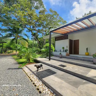 a black cat standing in front of a house at Vacation Rental Montezuma - 3BD, 3BA, Sleeps 8 in Delicias