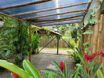 Gallery image of CasaMapache in Playa Hermosa