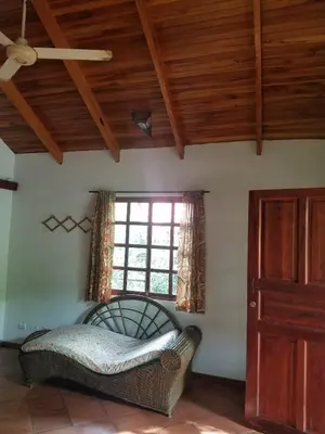 Gallery image of CasaMapache in Playa Hermosa
