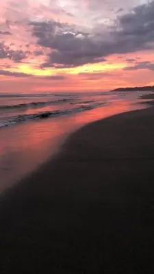 Gallery image of CasaMapache in Playa Hermosa