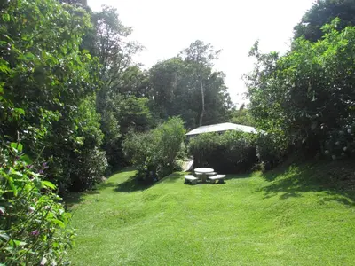 a garden with a picnic table in the grass at Hospedaje Mariposa in Monteverde Costa Rica