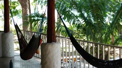 two hammocks hanging from a porch with palm trees at Ocean View Tambor in Tambor