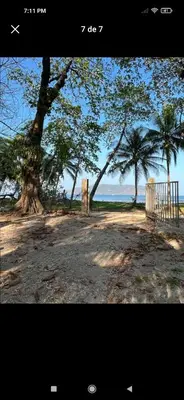a picture of a beach with trees and a fence at Ocean View Tambor in Tambor