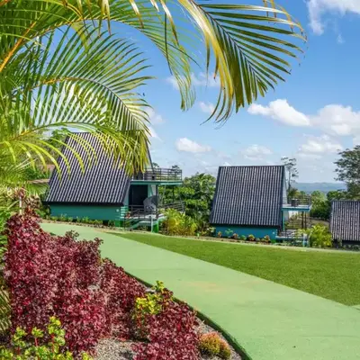 Junglo Resort and Spa