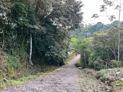 a dirt road in the middle of a forest at Aire Agua y Naturaleza in Guácimo