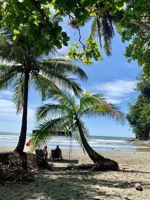 two palm trees on a beach with people sitting under them at Villas BRENES in Uvita