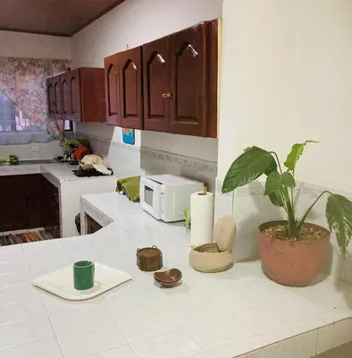 a kitchen counter with a plant and a microwave at Hospedaje Casa Mar in Liberia
