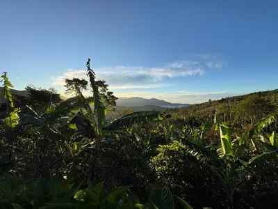 a view of a lush green field with mountains in the background at La Cabaña de Tuto Estate Coffees in San Pablo