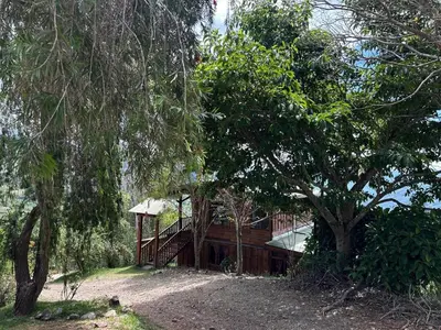 a house in the middle of a forest with trees at La Cabaña de Tuto Estate Coffees in San Pablo