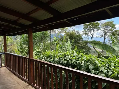 a balcony with a view of a forest of plants at La Cabaña de Tuto Estate Coffees in San Pablo