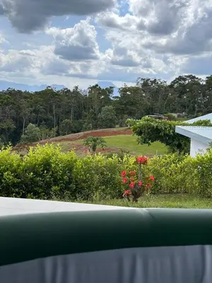 a view of a yard with flowers and a house at Colina Wilson in Santa Teresa