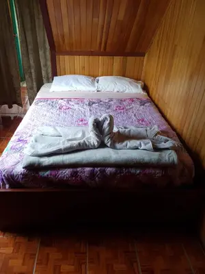 a woman laying on a bed in a room at Hostel Monteverde Backpackers in Monteverde Costa Rica