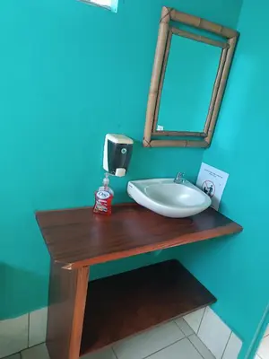 a bathroom with a sink and a mirror at Hostel Monteverde Backpackers in Monteverde Costa Rica