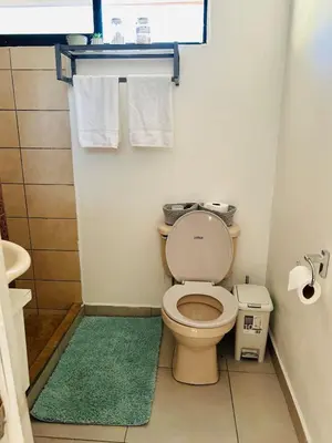a bathroom with a toilet and a green rug at Apartamento Einoah in Puerto Limón