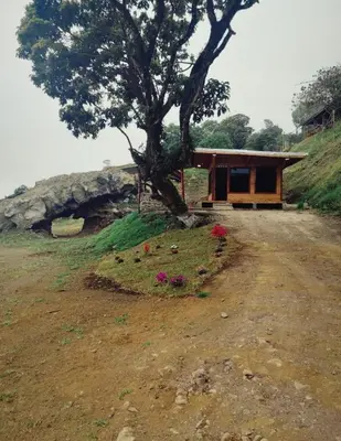 a house on the side of a hill with a tree at Hospedaje Jac Cabaña de Campo in Cartago